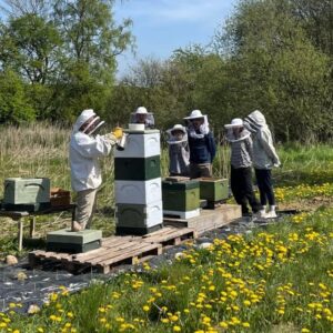 Design uden navn (15) Introkursus til biavl for begyndere - 30. maj 2026