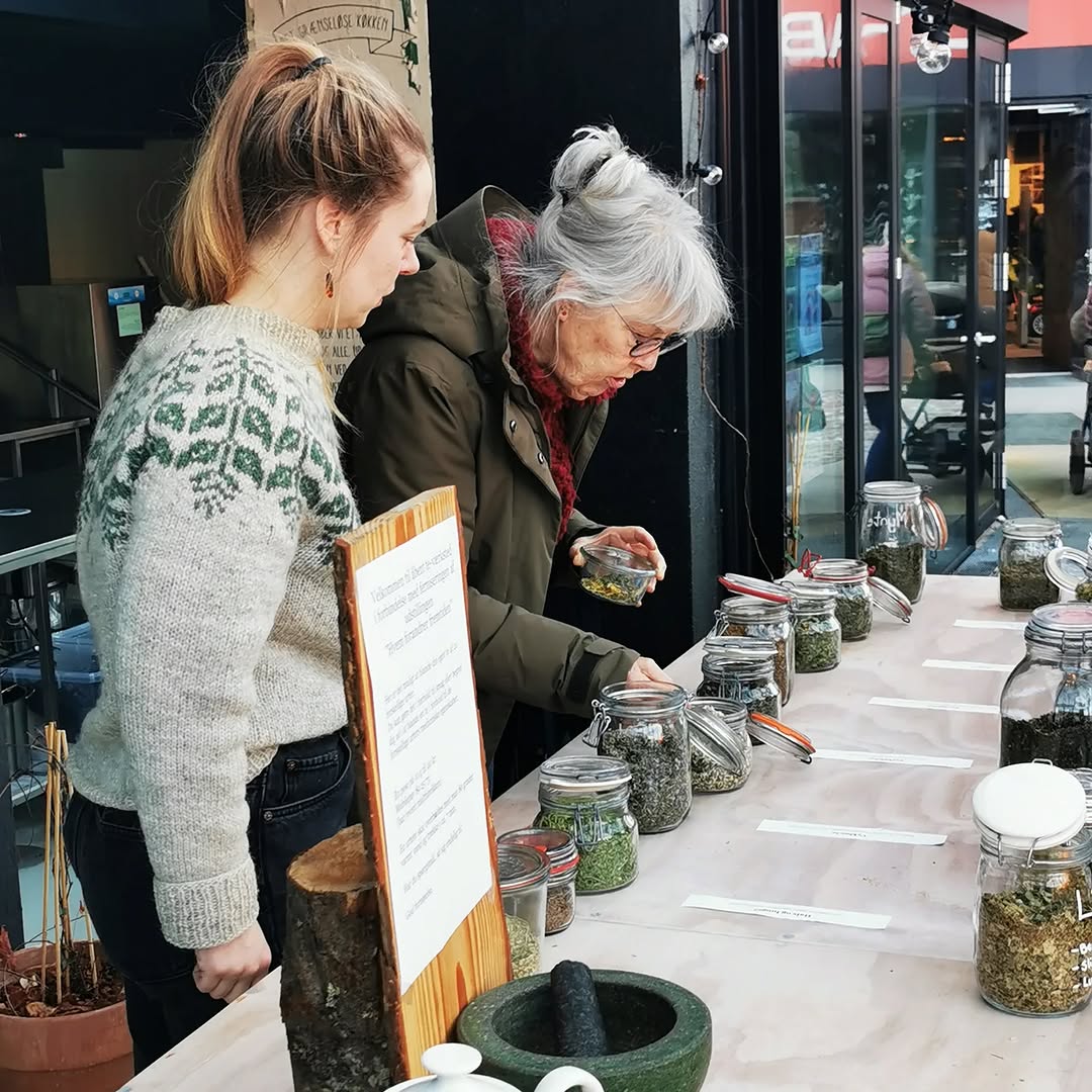 Medicinske planter med fokus på dit eget husapotek - 14. februar - Billede 2