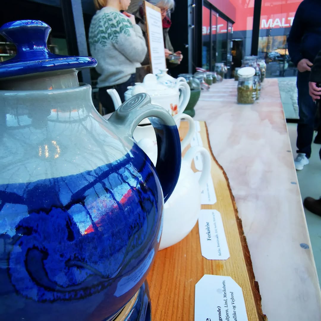 Medicinske planter med fokus på dit eget husapotek - 14. februar - Billede 3