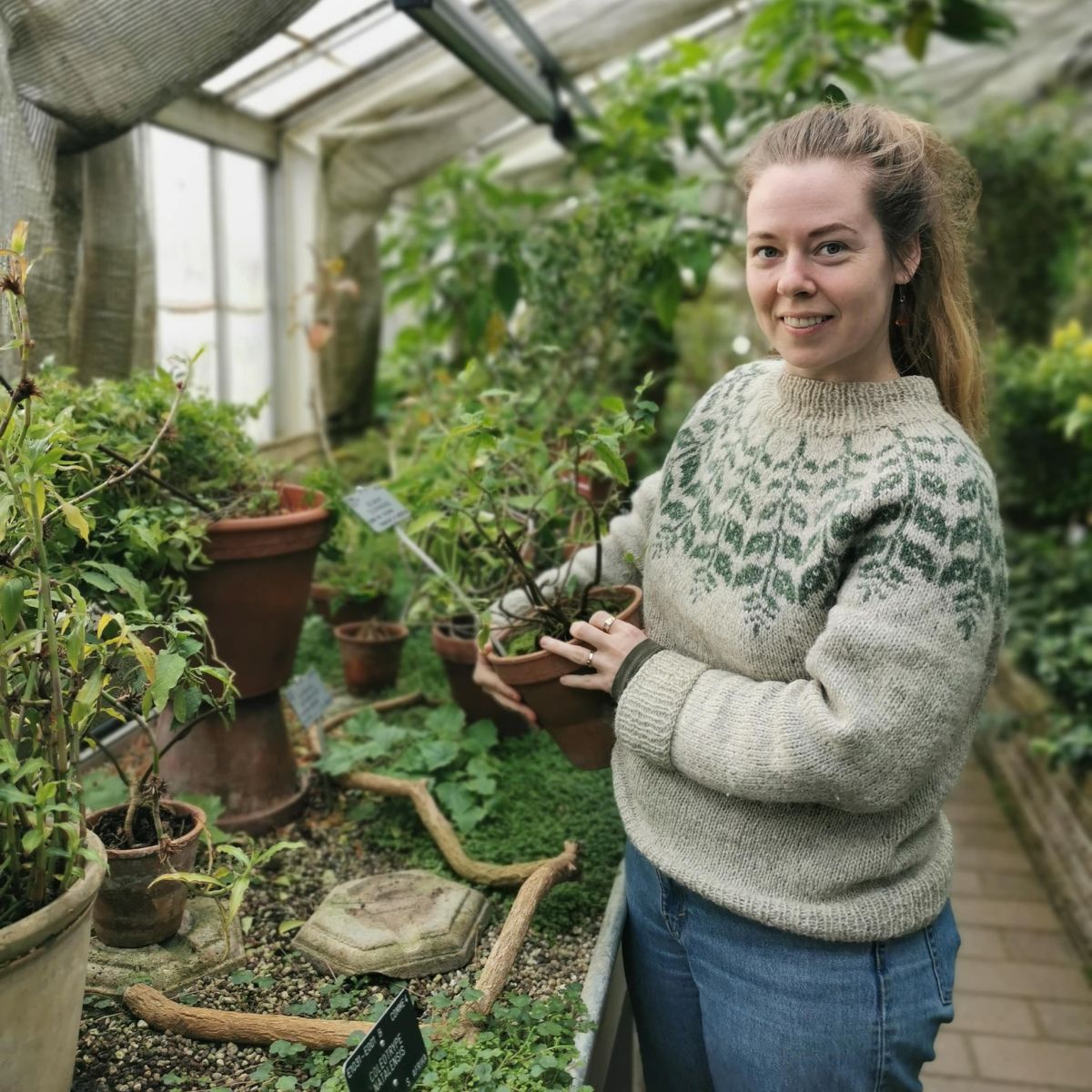 Medicinske planter med fokus på dit eget husapotek - 14. februar - Billede 5