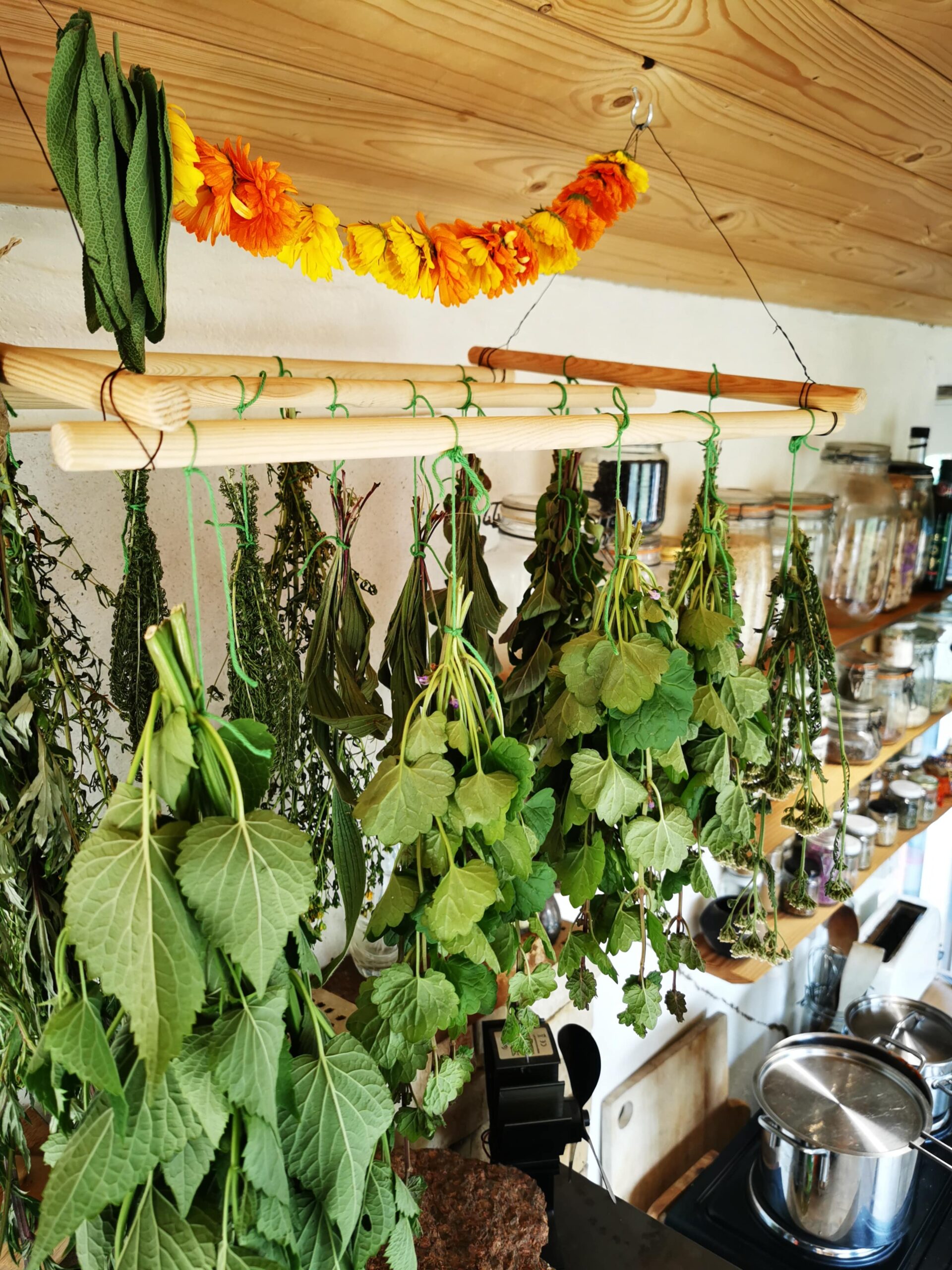 Medicinske planter med fokus på dit eget husapotek - 14. februar