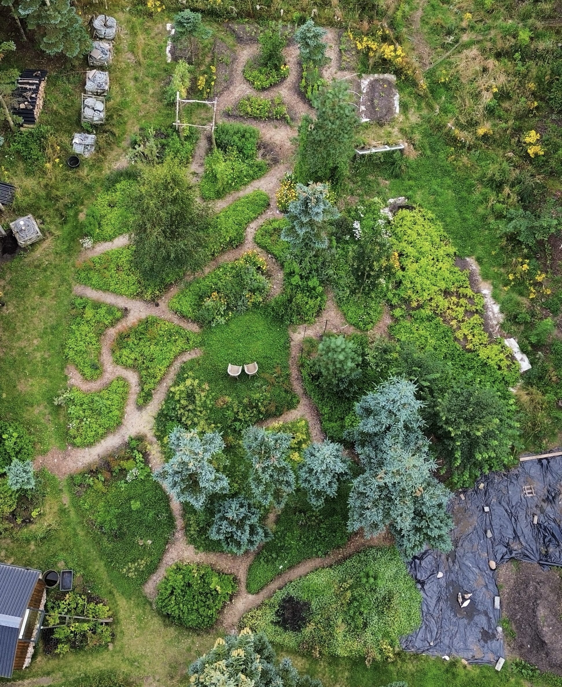 Medicinske planter med fokus på dit eget husapotek - 14. februar - Billede 6